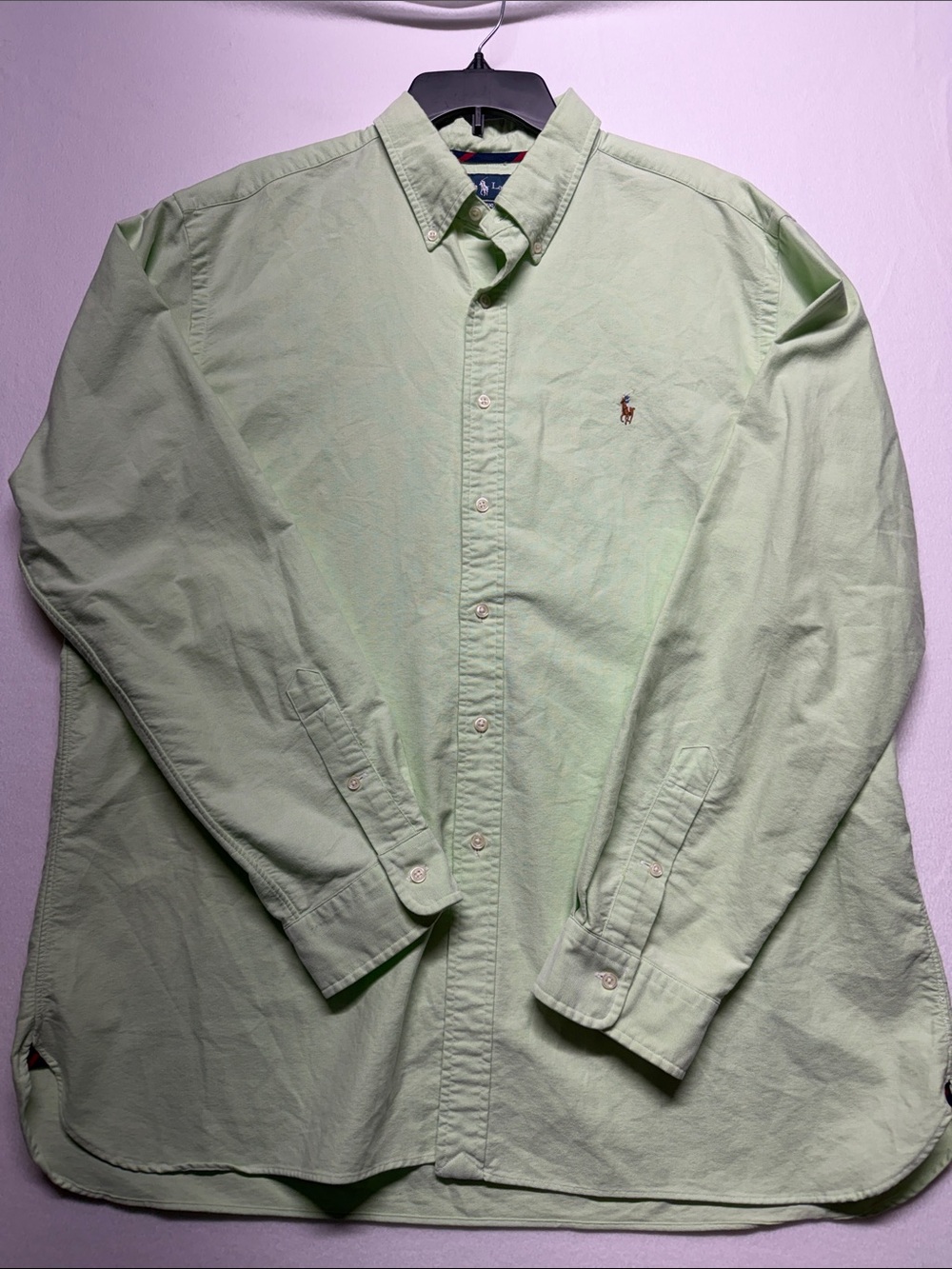 Polo by Ralph Lauren Men's Light Green Button-Down Shirt